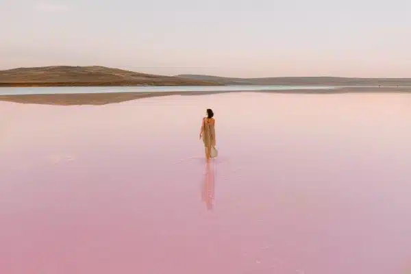 Les merveilleux avantages de l’eau de rose pour votre peau