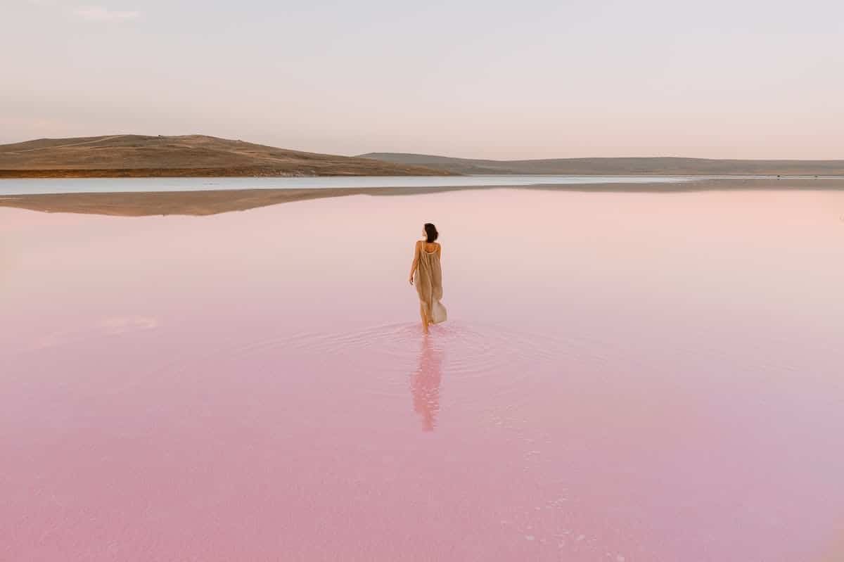 Les merveilleux avantages de l’eau de rose pour votre peau